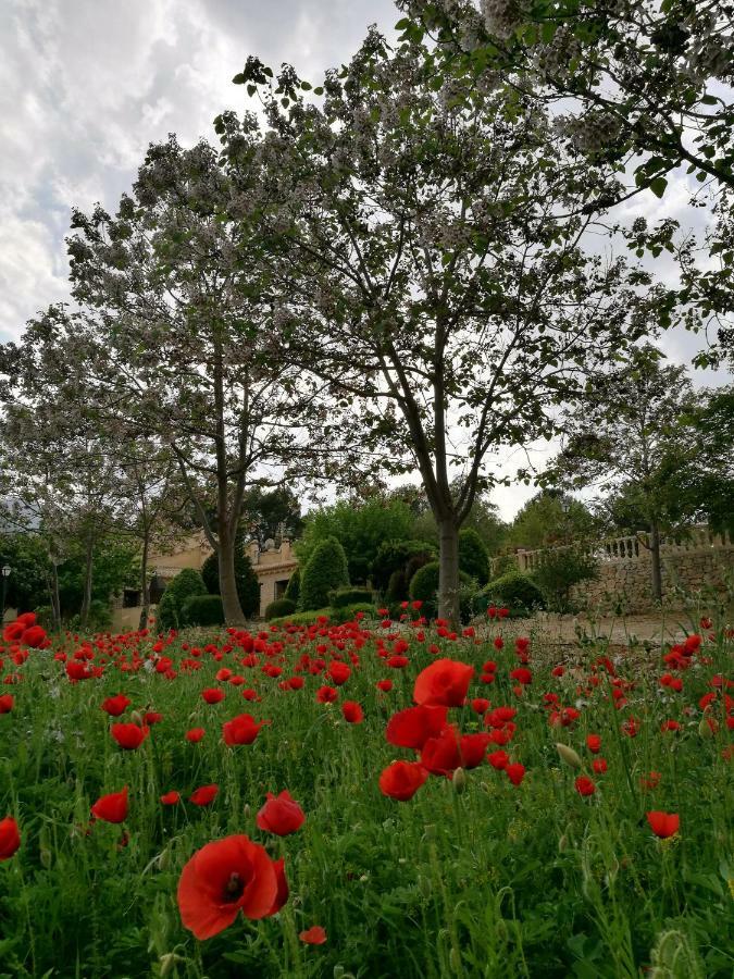 Finca La Celada Pensionat Moratalla  Exteriör bild